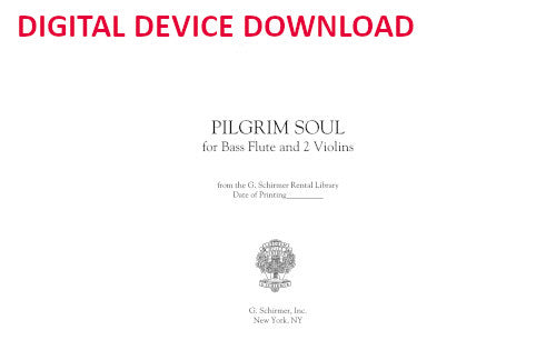 Pilgrim Soul, for 2 violins and bass flute - Digital